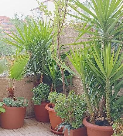 Apartamento Turistico Principe Caceres At-Cc-00415 Caces Esterno foto