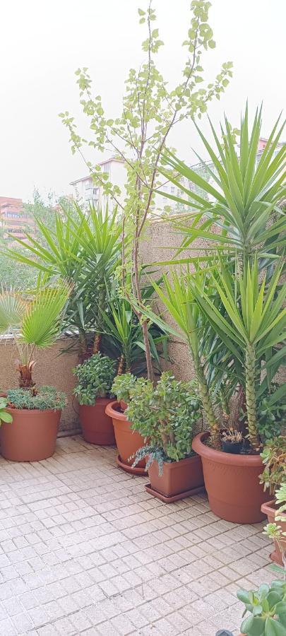 Apartamento Principe Caces Esterno foto
