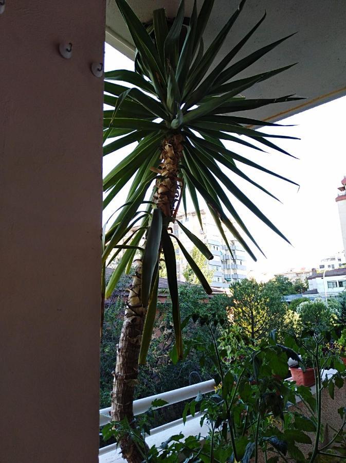 Apartamento Principe Caces Esterno foto